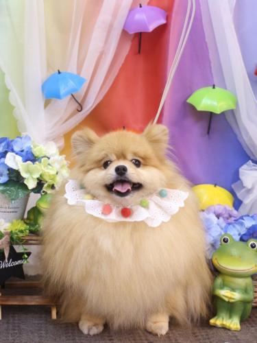 20230630梛都ちゃん